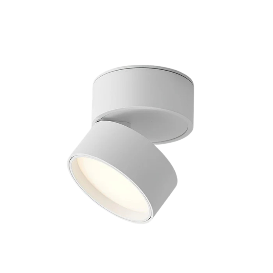 Modern Adjustable LED Ceiling Light 1-Light