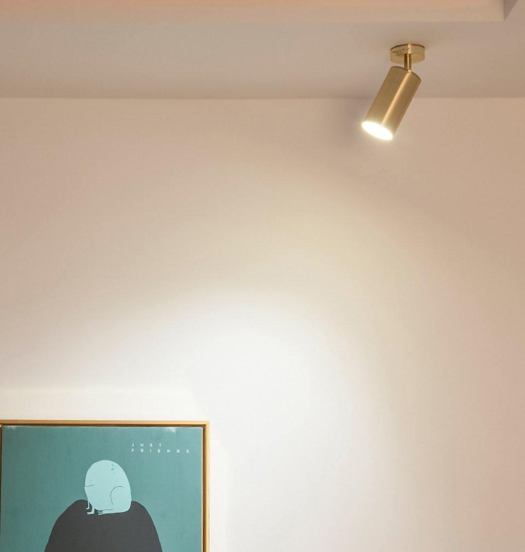 Modern Brass Double Cylinder Adjustable Wall Spotlight