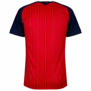 Maglia Home Partita Due Stelle Spagna