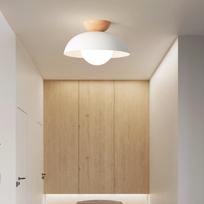 Modern Minimalist Glass Dome LED Ceiling Light 1-Light