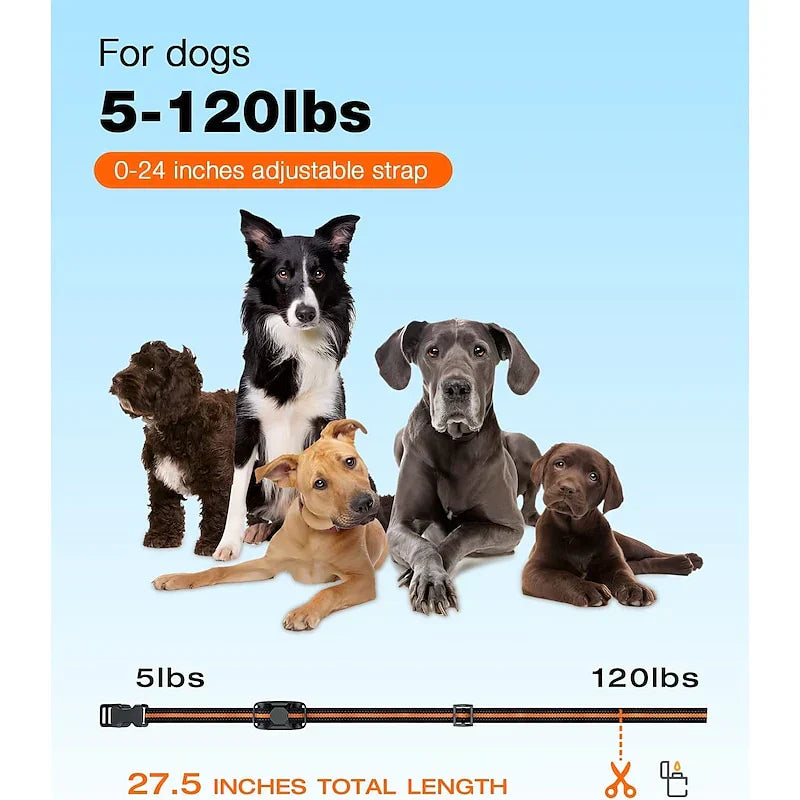 Collare per addestramento cani a 1000m NovaPace, impermeabile
