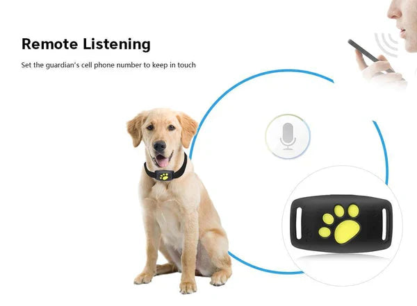 Dog GPS Tracker Locator Device – Real-Time Pet Tracking with No Monthly Fees