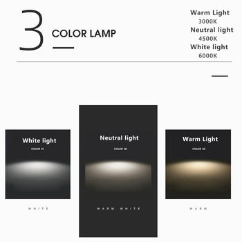 Puili | 1-Light