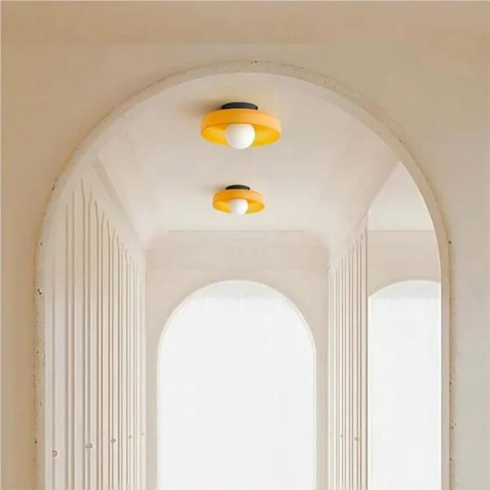 Modern Glass Disc Ceiling and Wall Light LED 1-Light