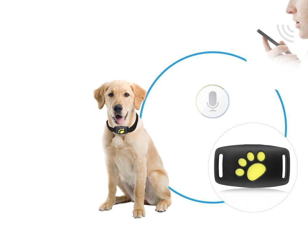 PAWTRACK MINI – Localizzatore GPS per monitoraggio in tempo reale dei gatti