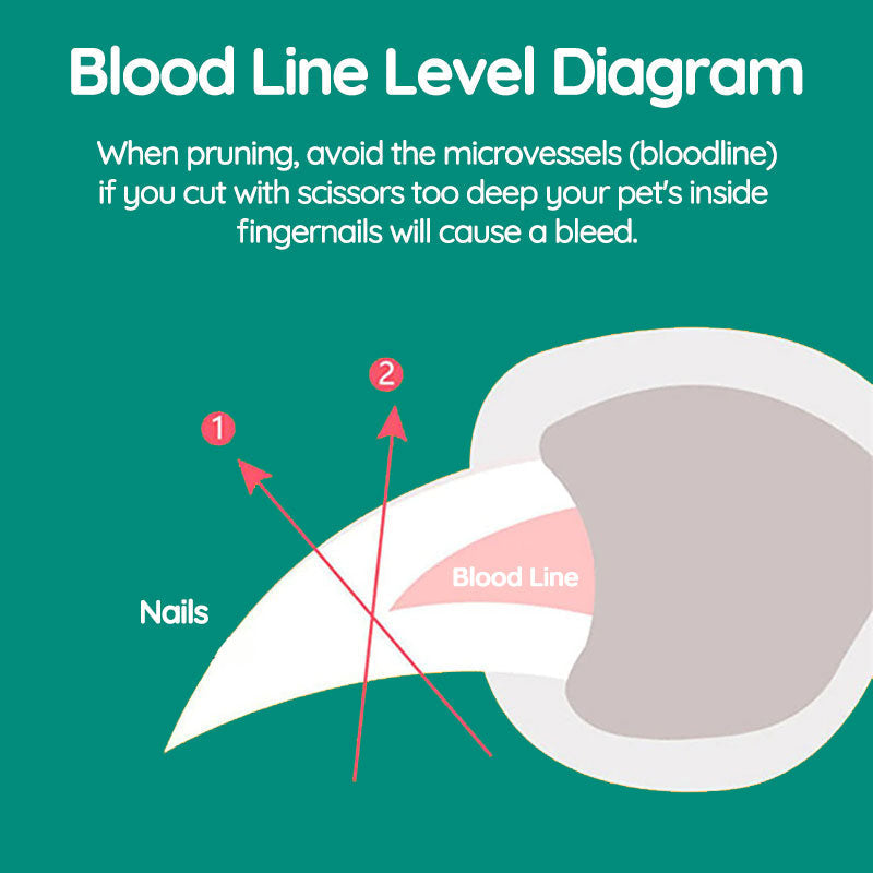 PawGuard Pro Nail Clippers with Advanced Quick Sensors