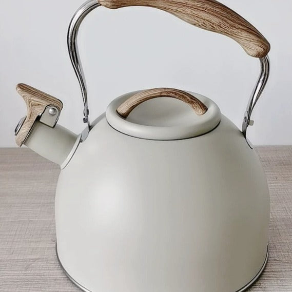 Bollitore fischiante in acciaio inox – stile classico per uso quotidiano