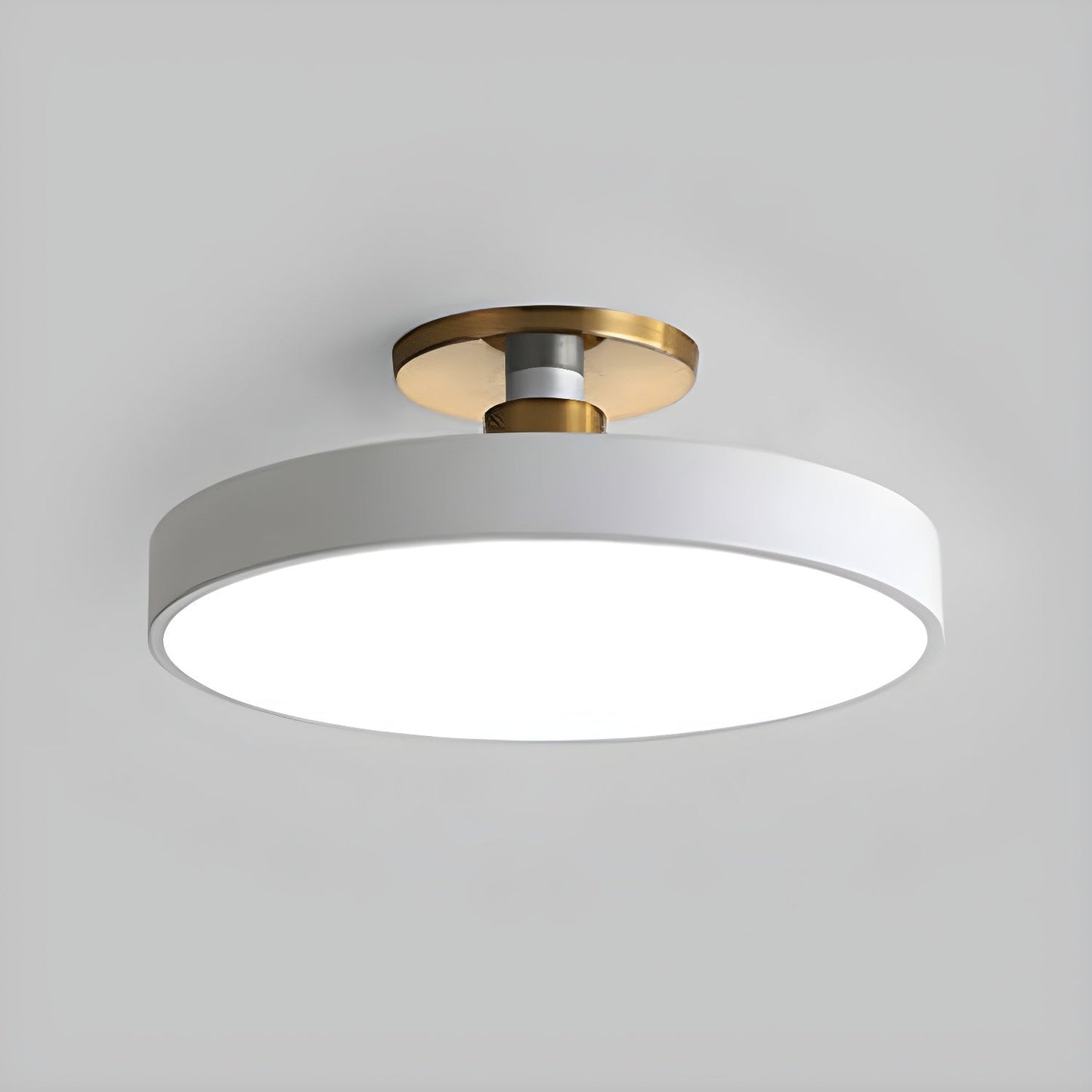 Modern Round LED Flush Mount Ceiling Light 1-Light