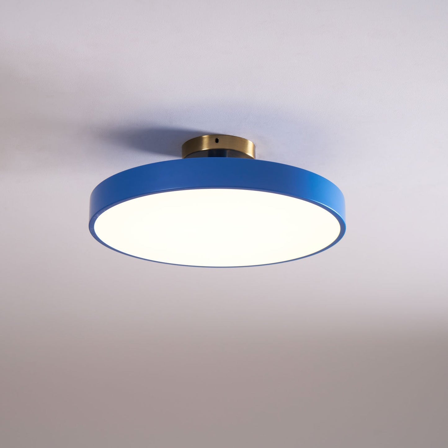 Modern Round LED Flush Mount Ceiling Light 1-Light