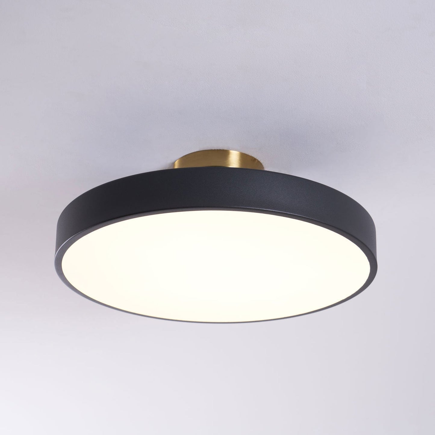Modern Round LED Flush Mount Ceiling Light 1-Light