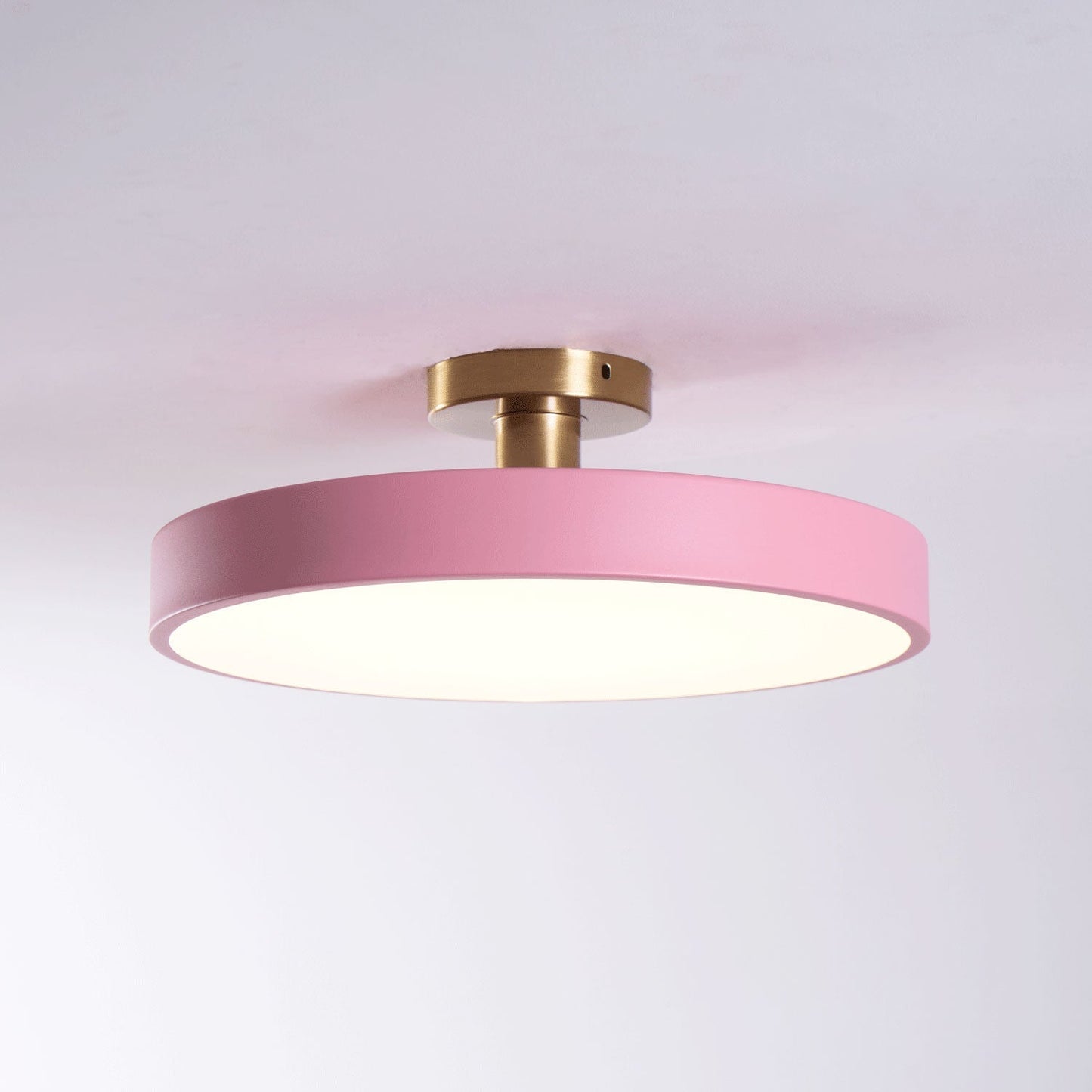 Modern Round LED Flush Mount Ceiling Light 1-Light