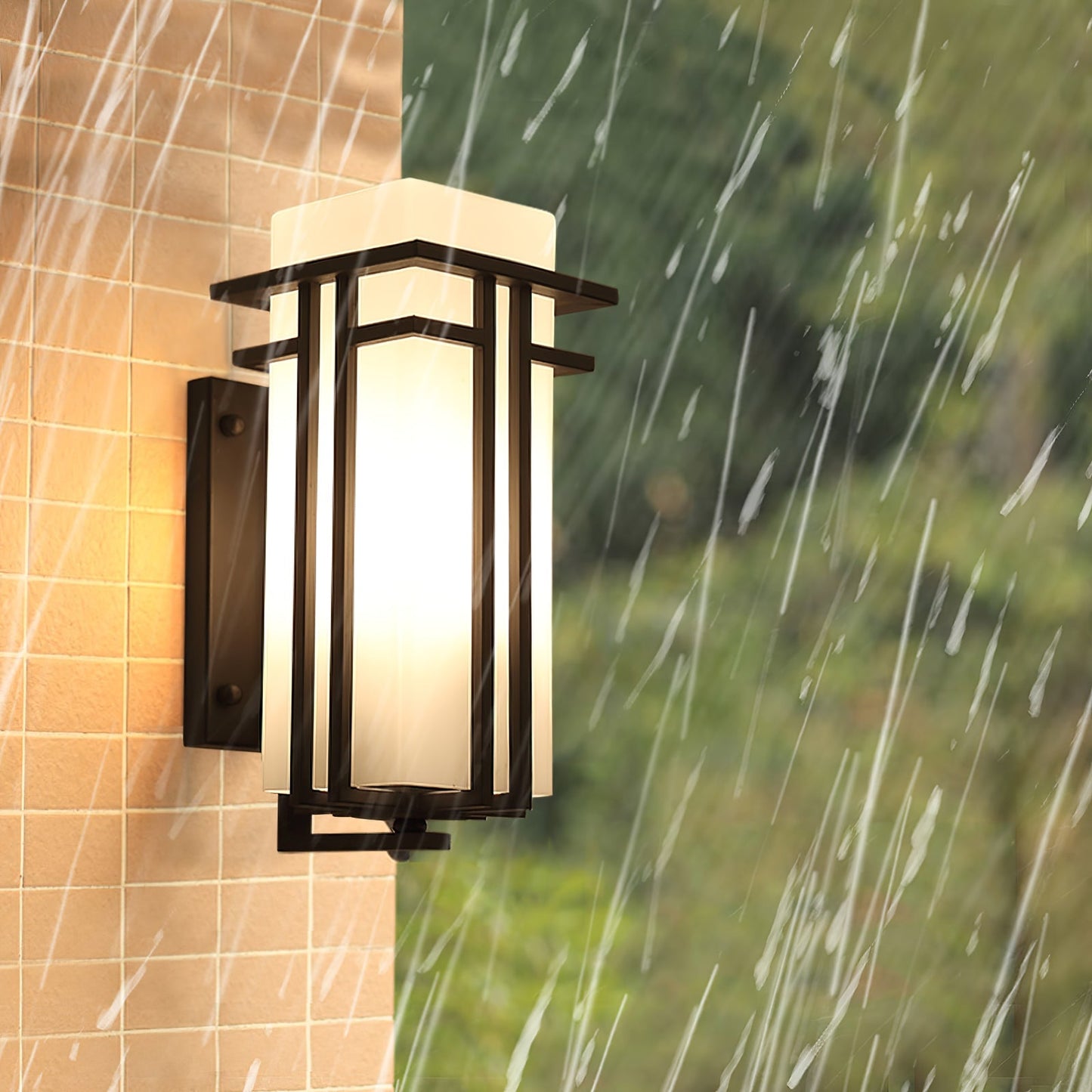 Retro Industrial Iron Glass Outdoor Wall Light LED 1-Light