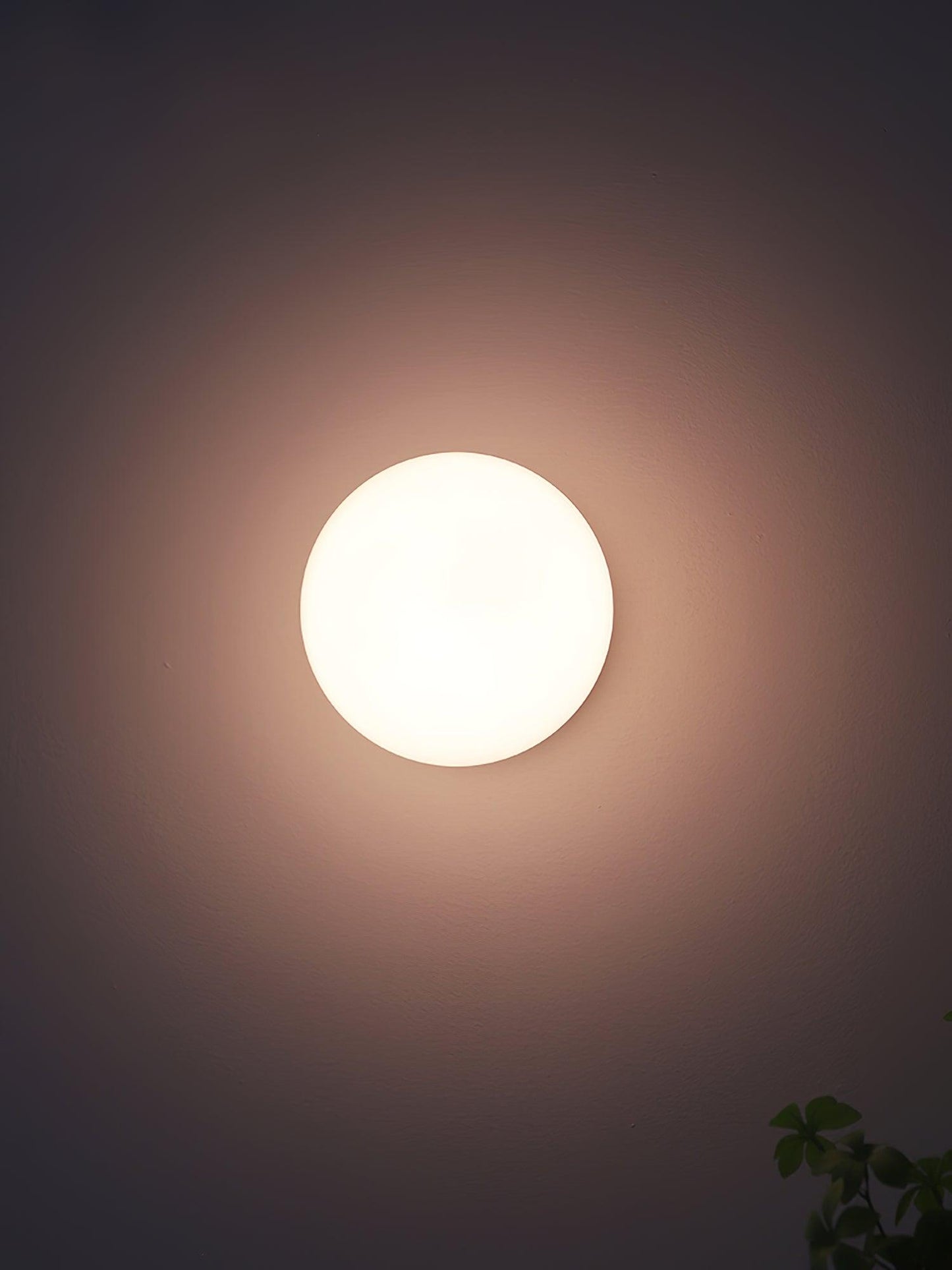 Vintage Brass Globe Glass Wall Sconce 1-Light