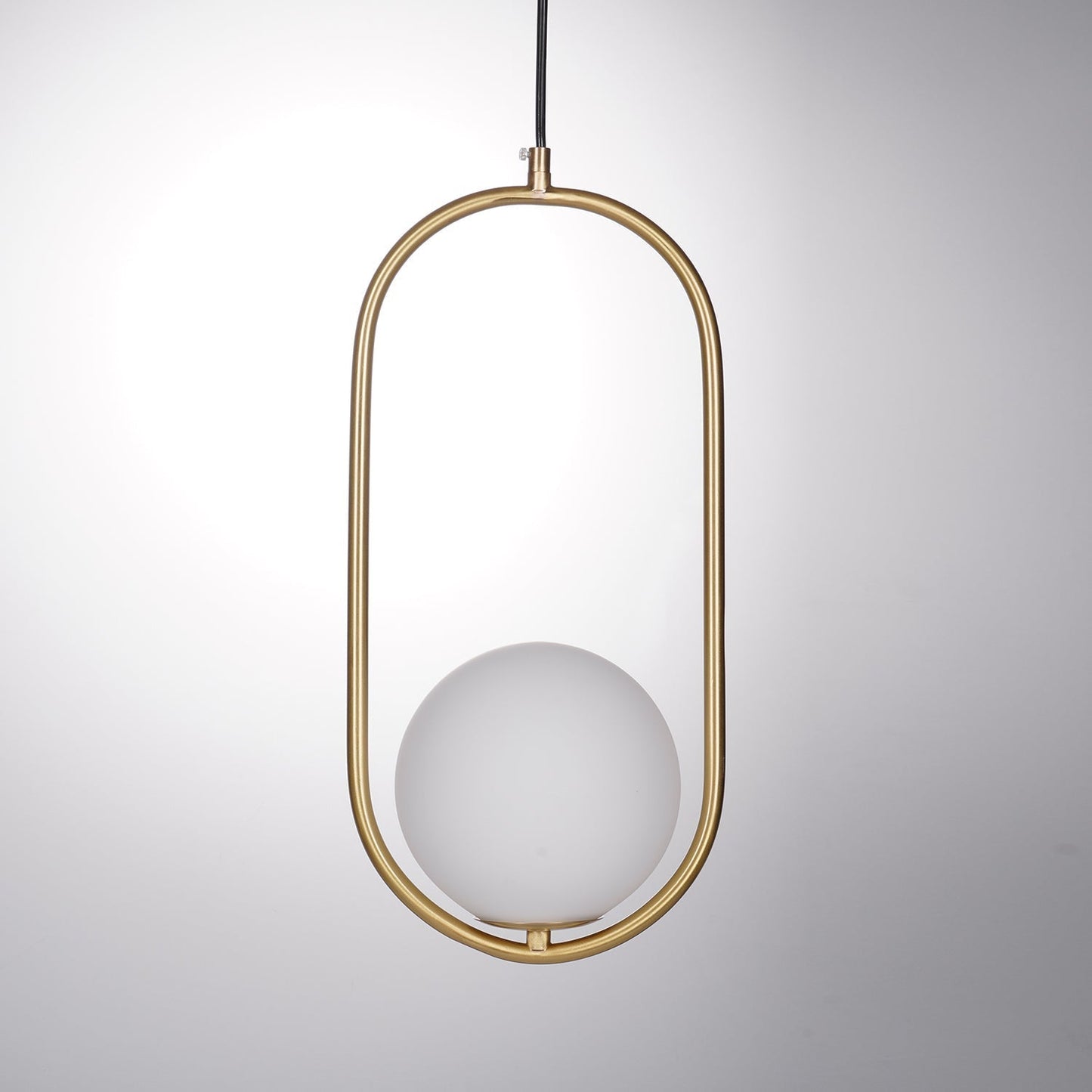 Modern Brass Ring Globe Glass Pendant Light 1-Light