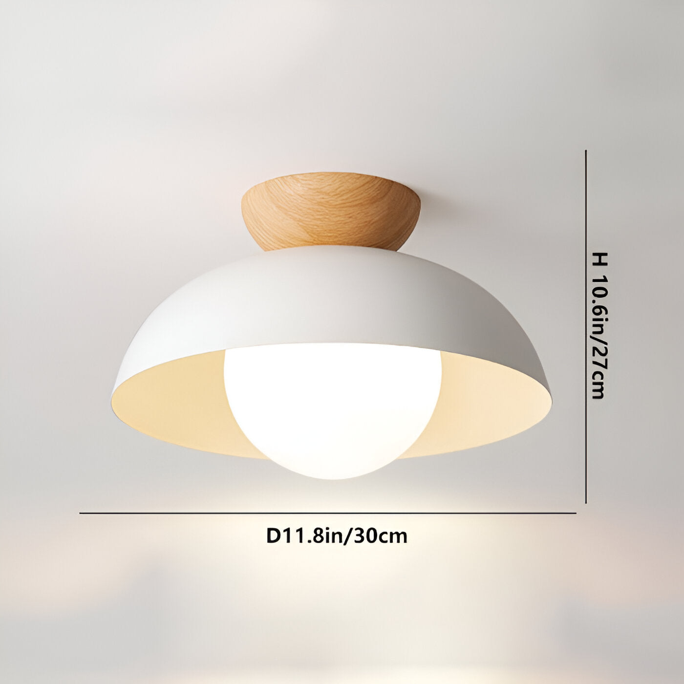 Modern Minimalist Glass Dome LED Ceiling Light 1-Light