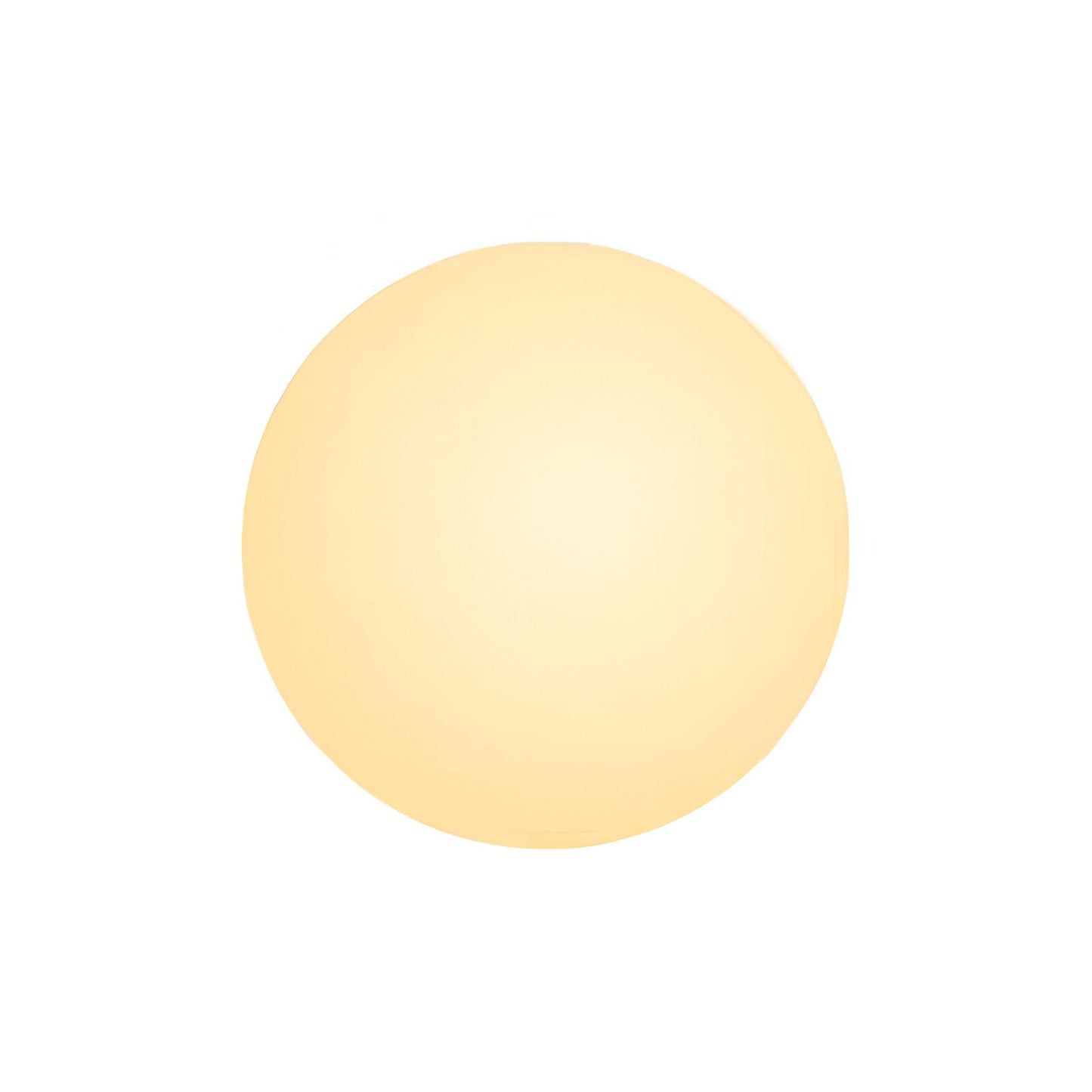 Minimalist Round Glass Wall Sconce LED 1-Light