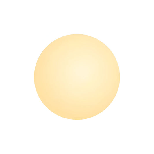 Minimalist Round Glass Wall Sconce LED 1-Light