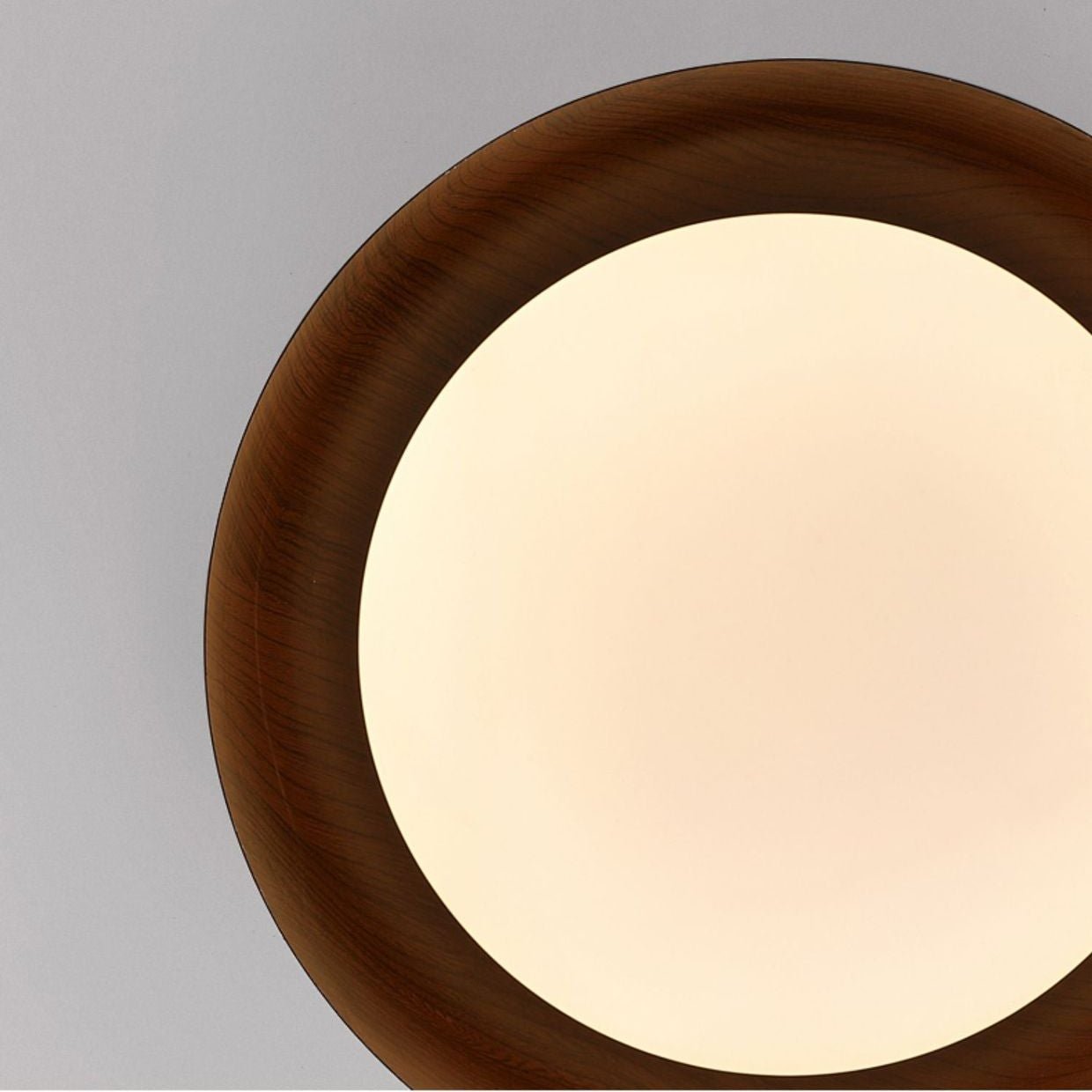 Wabi-Sabi Wood Grain Round Ceiling Light LED 1-Light
