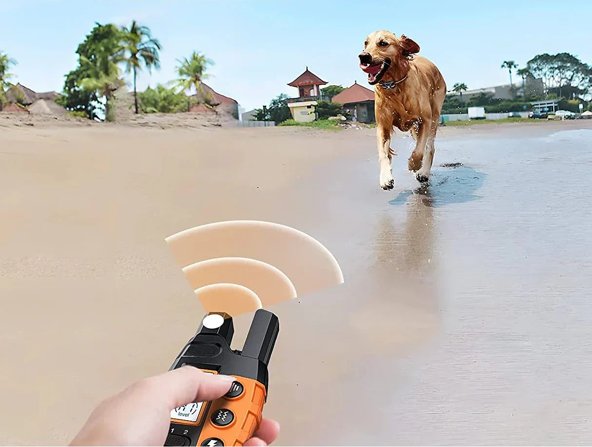 Collare per addestramento cani a 1000m NovaPace, impermeabile