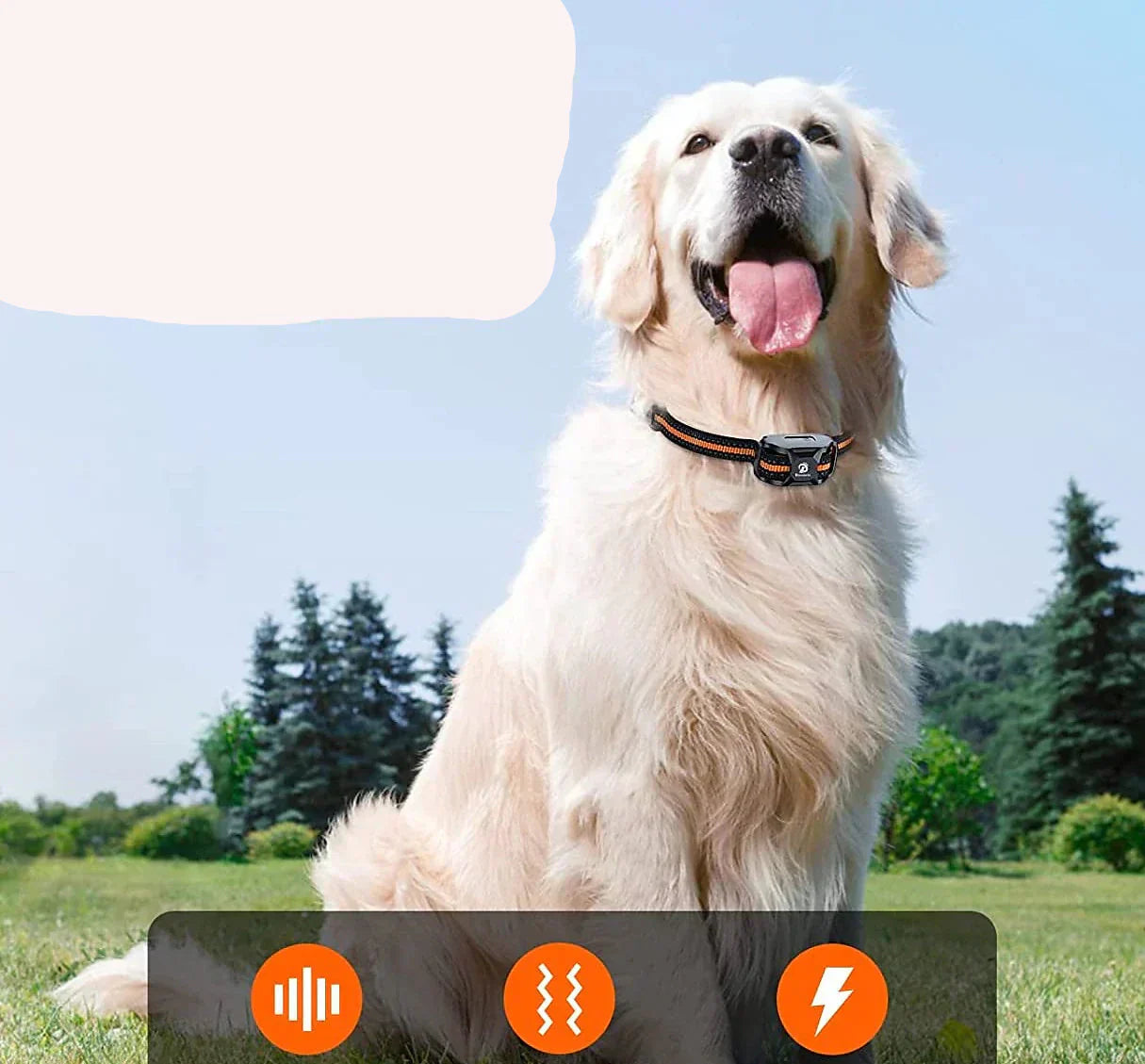 Collare per addestramento cani a 1000m NovaPace, impermeabile