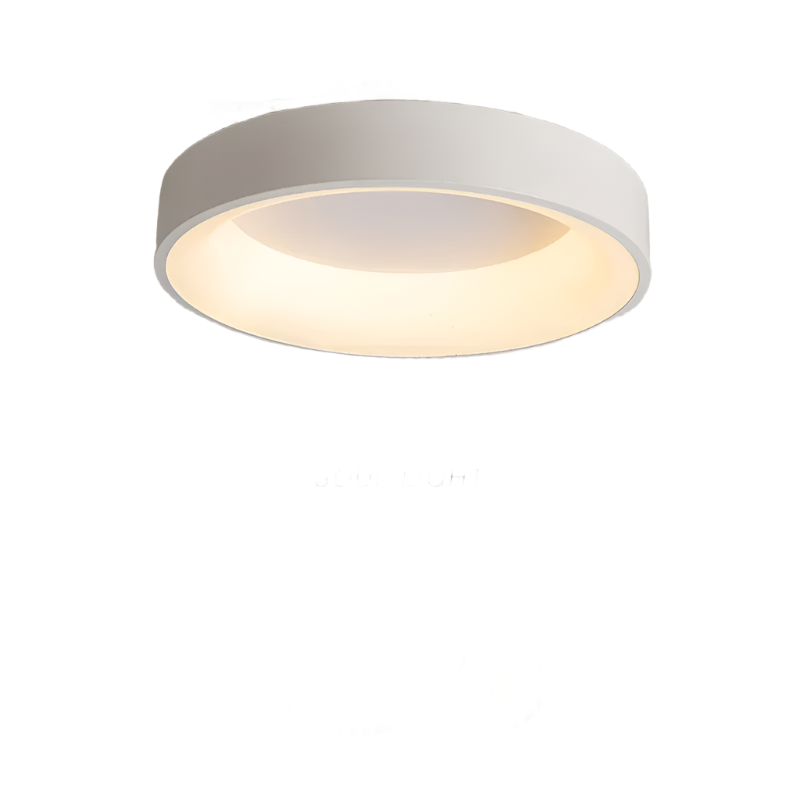 Nordic Modern Round Led Ceiling Light 1-Light