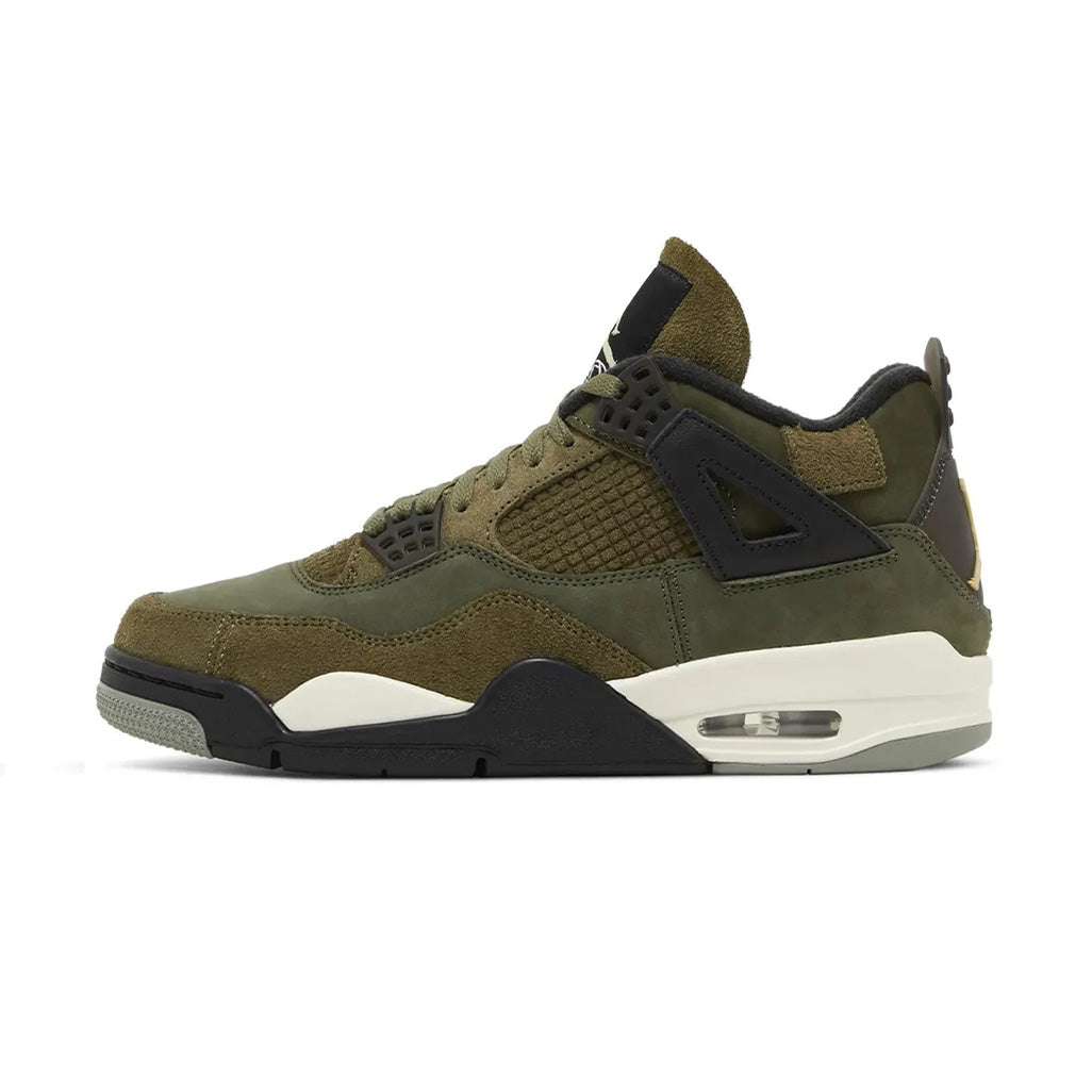 Combined I Air Jordan 4