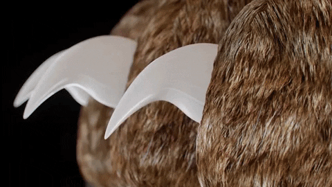 PawGuard Pro Nail Clippers with Advanced Quick Sensors