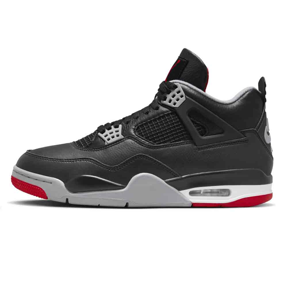 Combined I Air Jordan 4