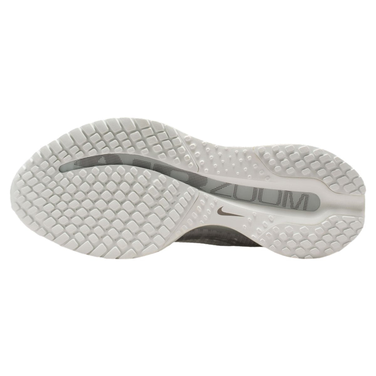 Nike Air Zoom Pegasus Premium Summit White Iridescent (W)