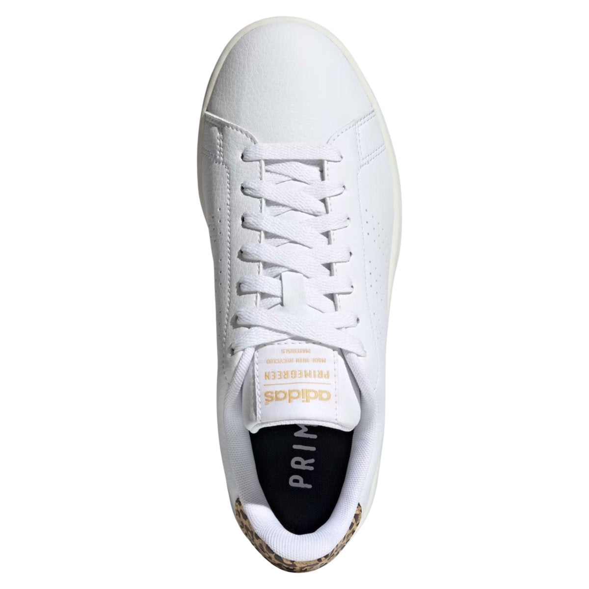 adidas Advantage Cloud White White Tint (W)