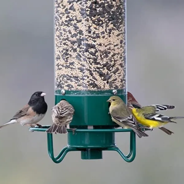 Squirrel-Proof Bird Feeder – Large Bird Friendly with Spinning Squirrel Repellent Action